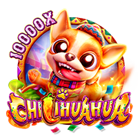 CHILIHUAHUA