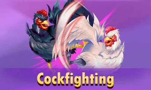 Rich88 Cockfighting